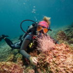 Woman diving through coral reefs on Catalinas Islands