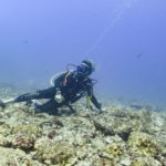 Man diving through coral reefs on Catalinas Islands