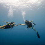 Couple diving through the Catalinas Islands