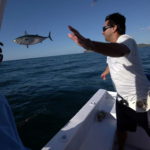 Flying fish at private boat discovery combo tour